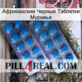 Африканские Черные Таблетки Муравья viagra2